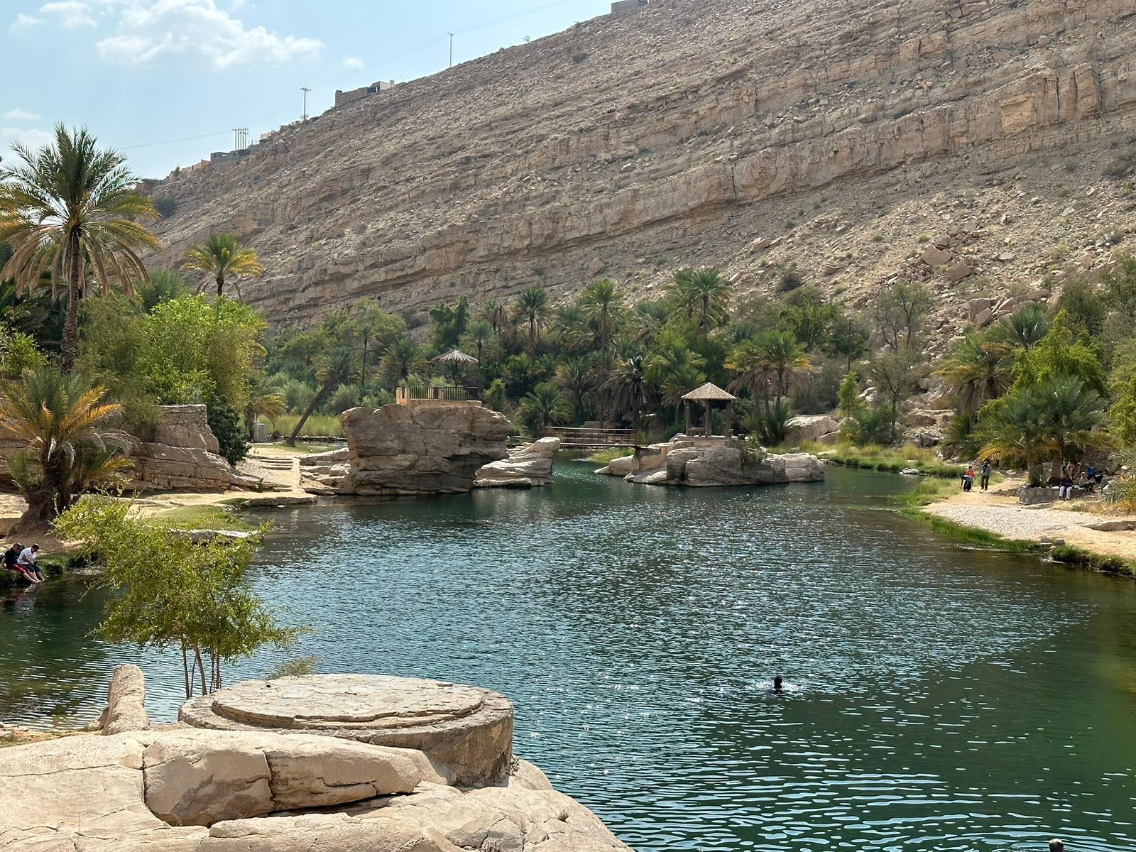 Palmen en turkoois water in Wadi Bani Khalid