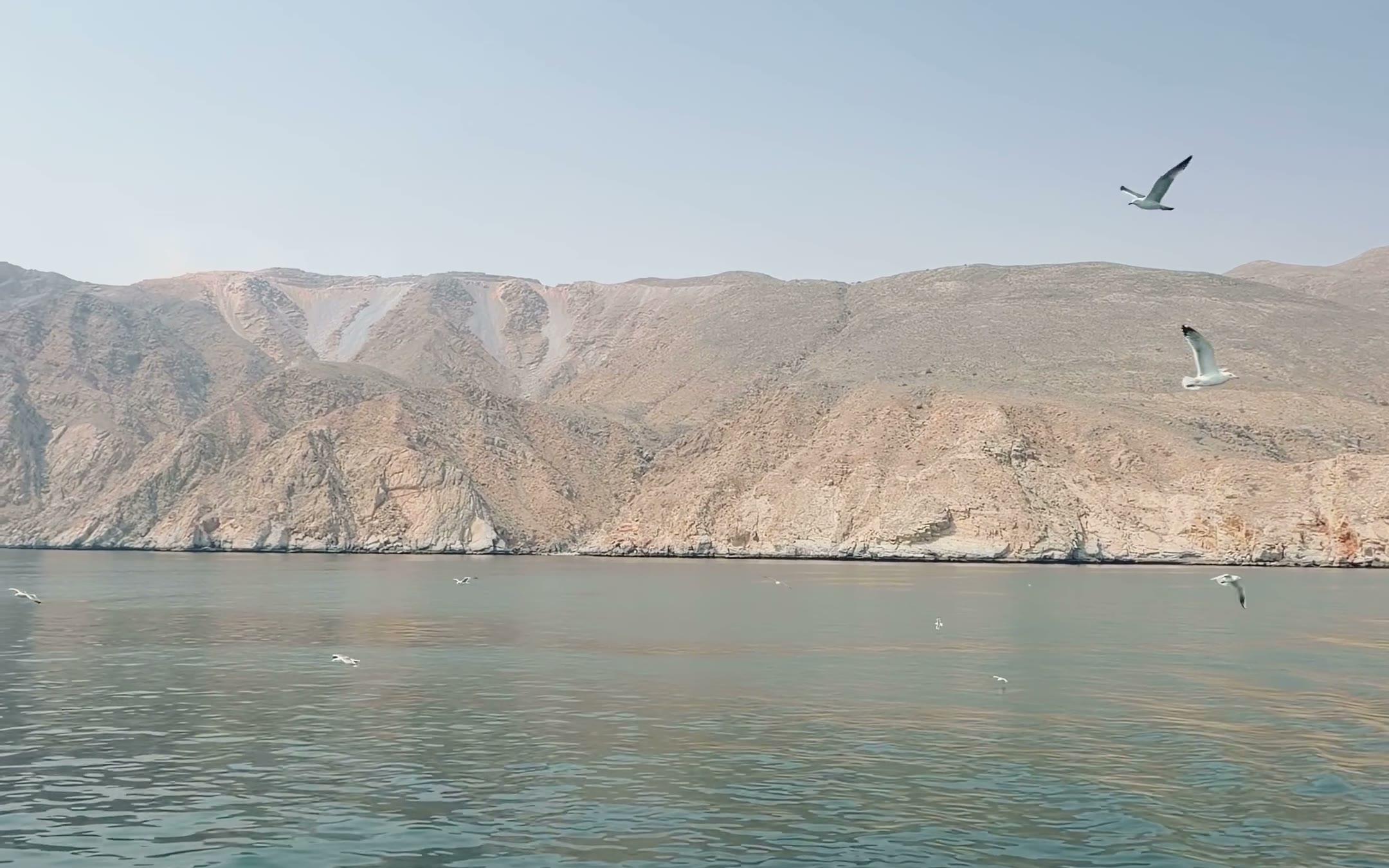 Kale bergwanden van de fjord Khor Sham, met meeuwen boven het water