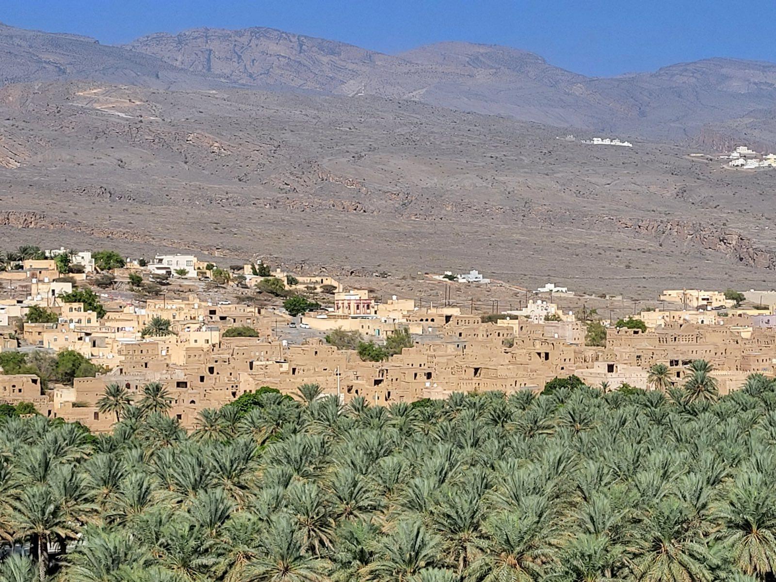 Dorp in een palmoase aan de voet van het Hajar-gebergte