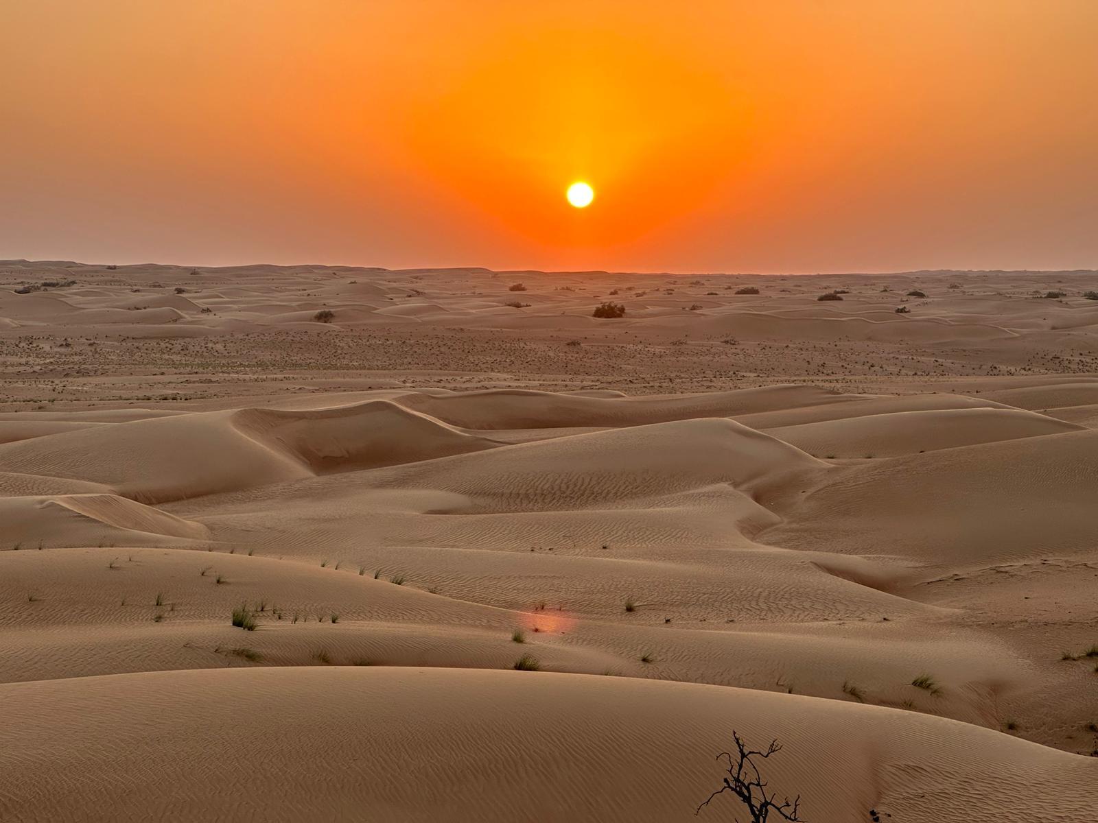 Avondlicht over de duinen van de Wahiba Sands